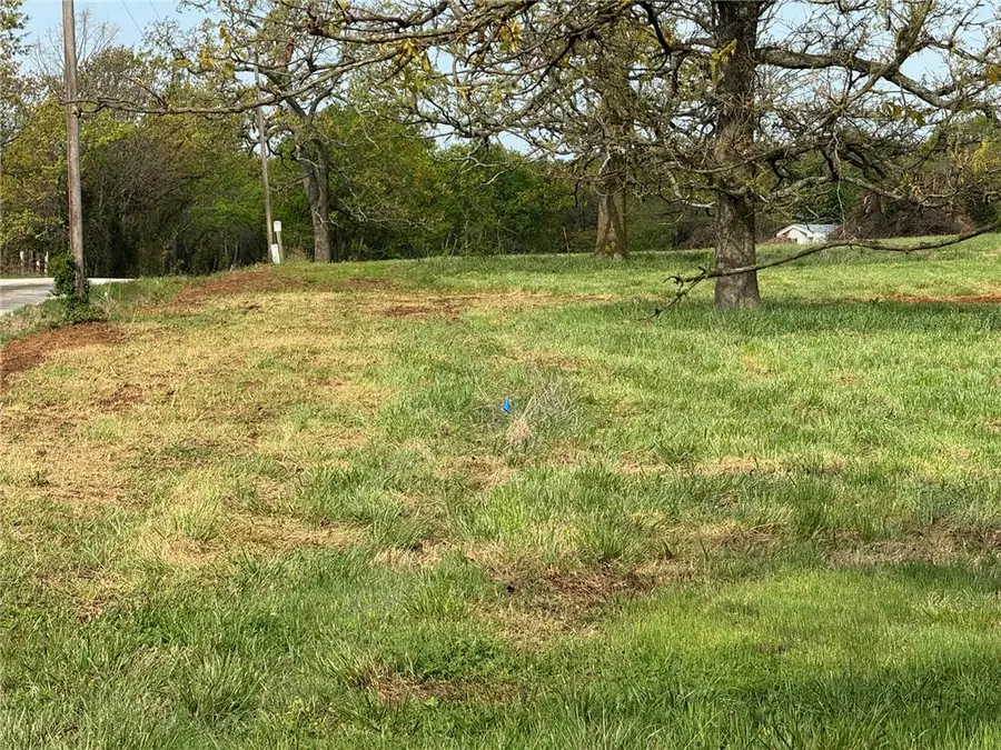 Tract F Old Cincinnati Road, Lincoln, AR 72744 - #3