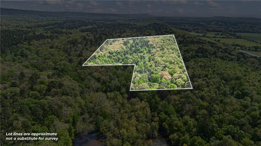 23 Acres In Havana, Havana, AR 72842 - #2