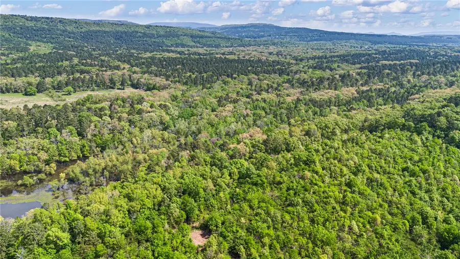 23 Acres In Havana, Havana, AR 72842 - #3