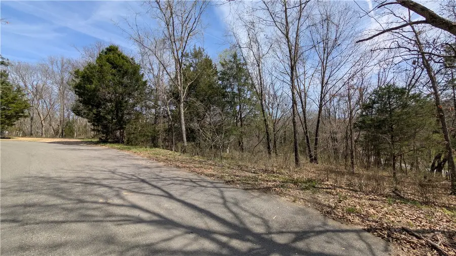 Lot 40 Waveney Lane, Bella Vista, AR 72715 - #3