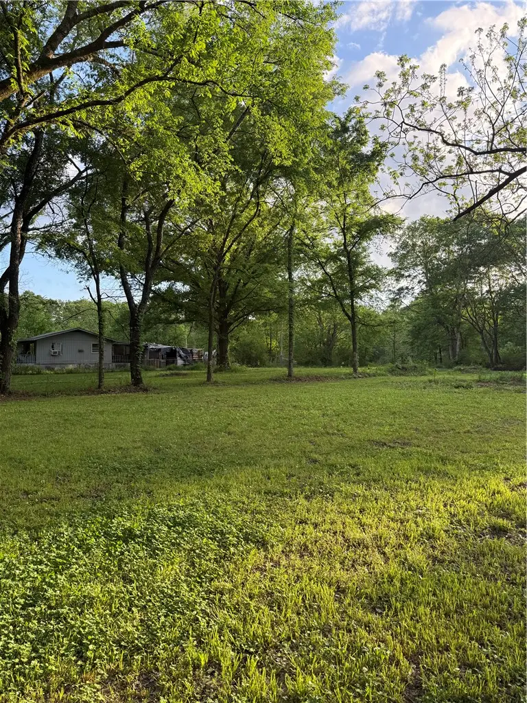 406 Mahan Lane, Ola, AR 72853 - #2