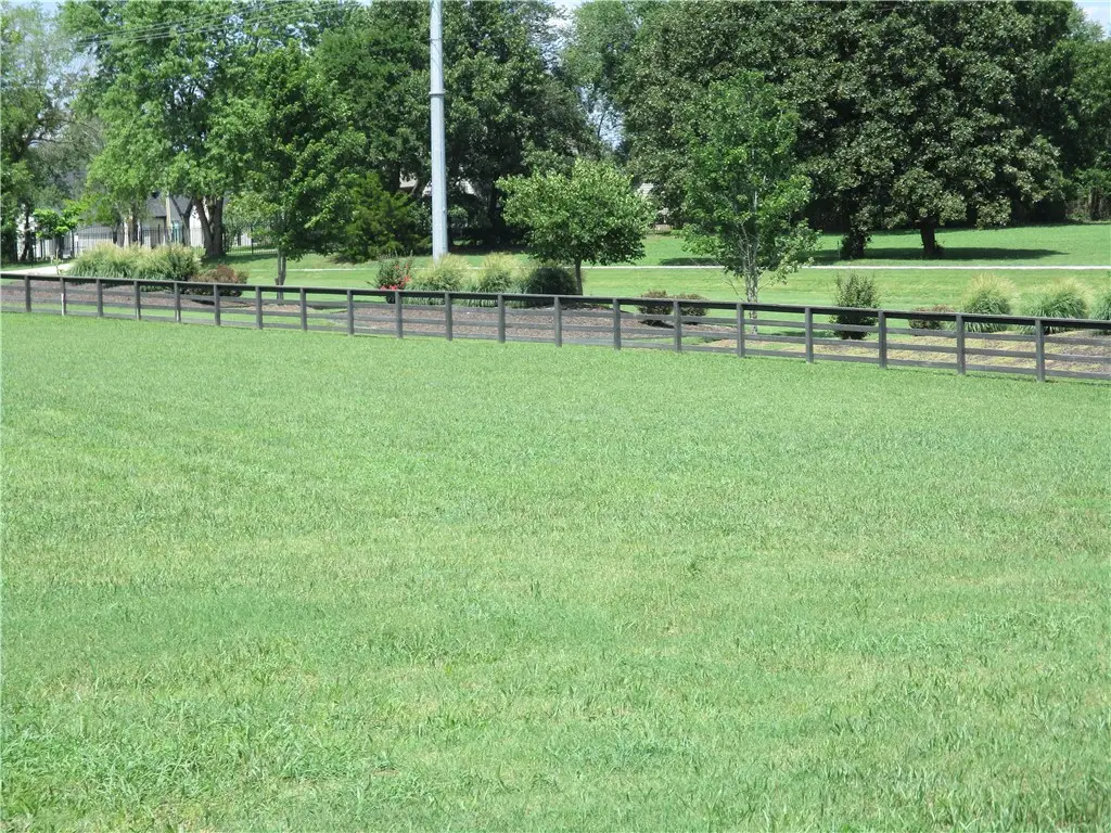 Lot 61 Blue Springs Road, Goshen, AR 72735 - #1