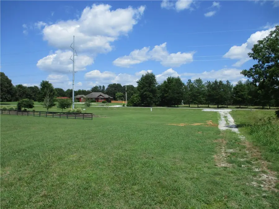 Lot 61 Blue Springs Road, Goshen, AR 72735 - #3