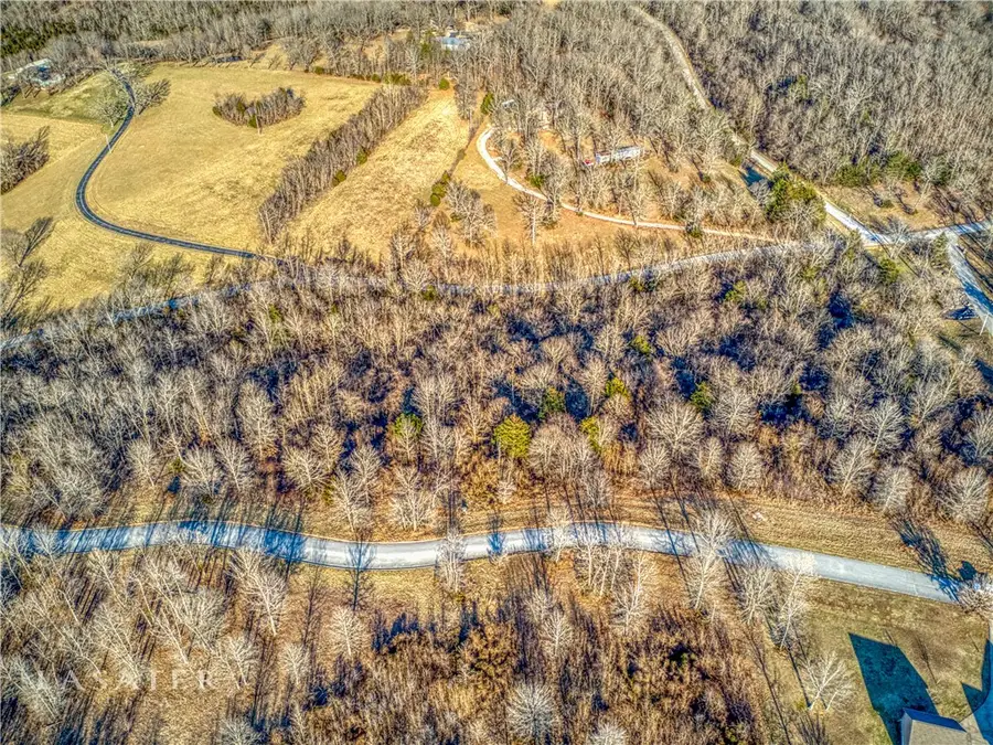 1669 Goff Road, Harrison, AR 72601 - #3