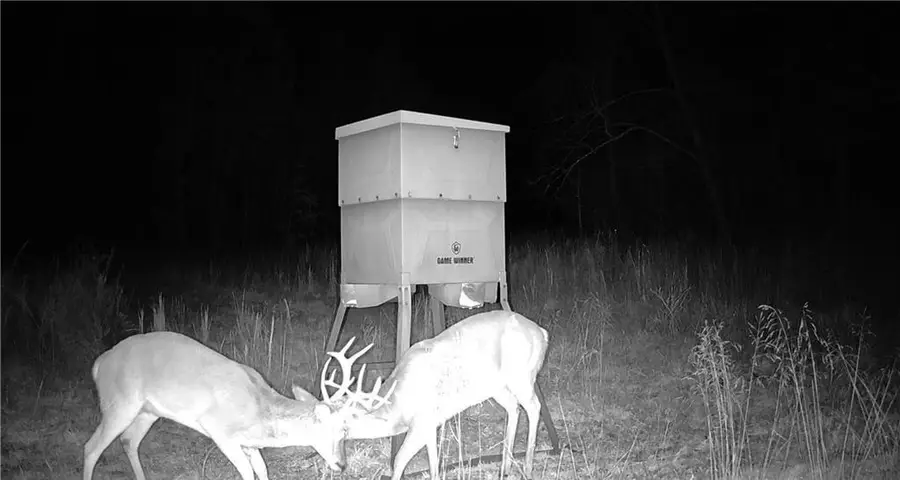 Cr 618, Watts, OK 74964 - #2