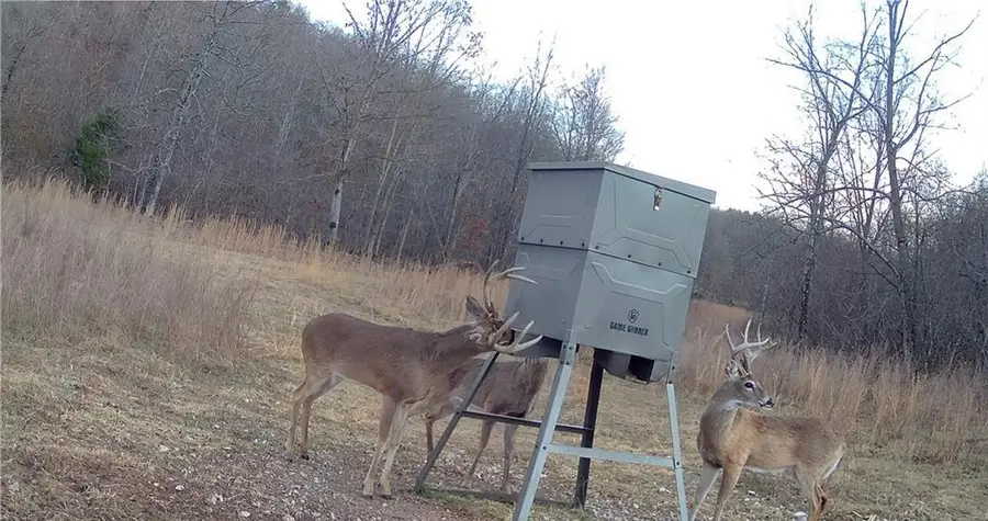 Cr 618, Watts, OK 74964 - #3