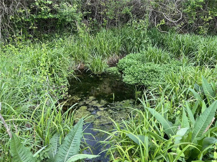 Cedar Grove Road, Lead Hill, AR 72644 - #2