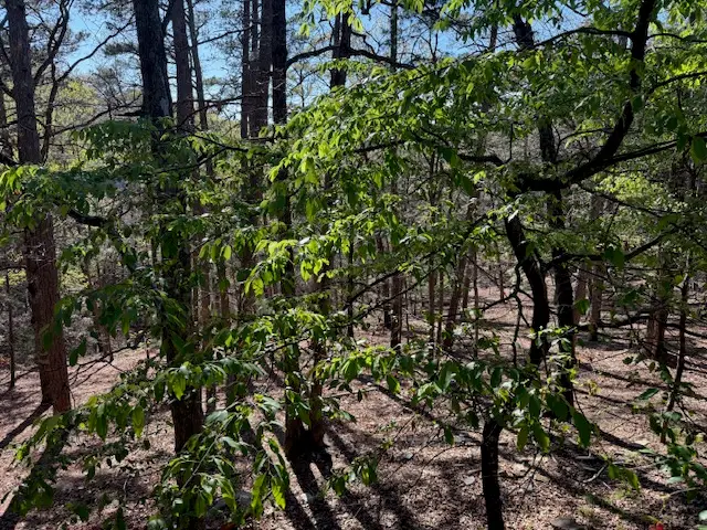 40 E Mountain Drive, Eureka Springs, AR 72632 - #2