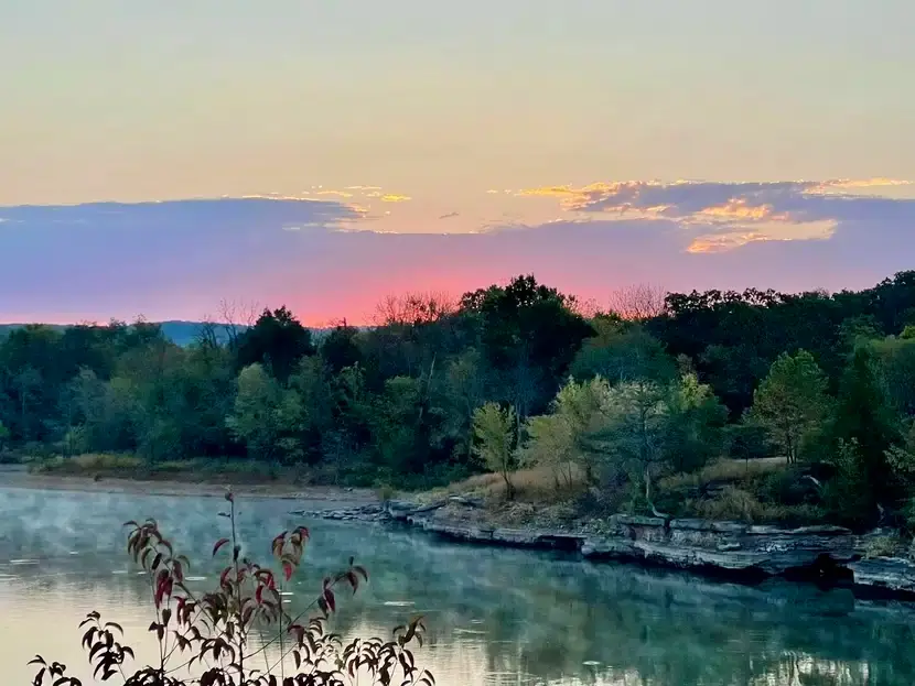 14889 Hwy 311, Green Forest, AR 72638 - #3