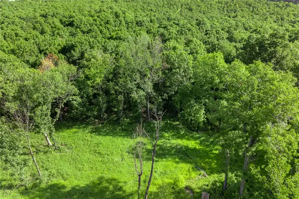 Lot 89 Restore Circle, Harrison, AR 72601