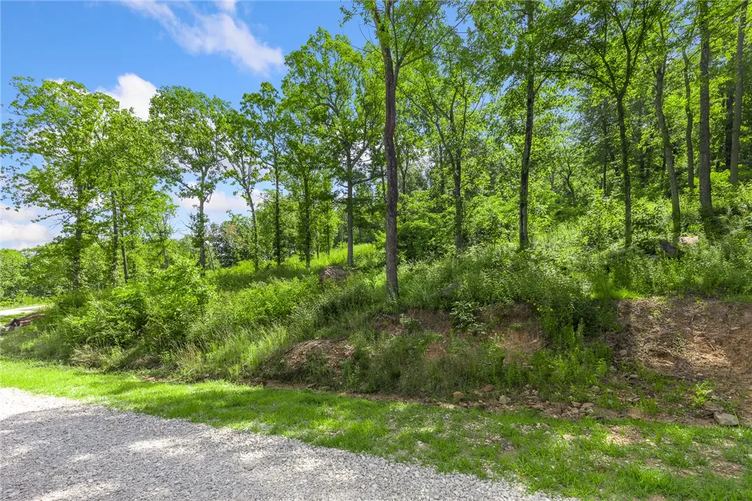 Lot 46 Restore Ridge, Harrison, AR 72601 - #1