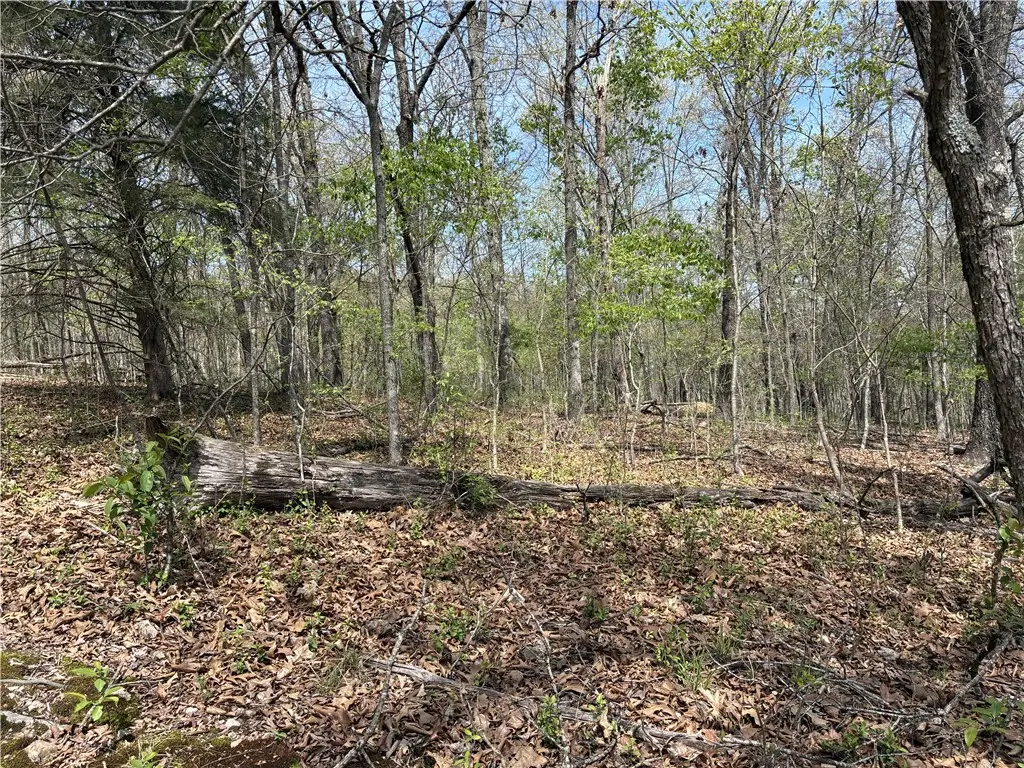 Chelmsworth Circle #Lot 16 Block 4, Bella Vista, AR 72715 - #1