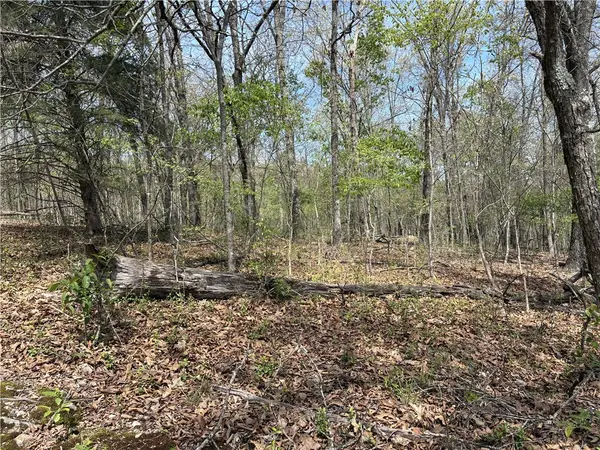 Chelmsworth Circle #Lot 16 Block 4, Bella Vista, AR 72715