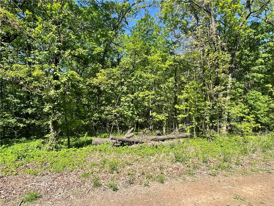 3.16AC S Pleasant Valley Road, Gentry, AR 72734 - #3