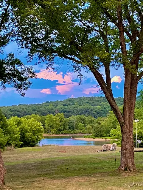 14889 311 Highway, Green Forest, AR 72638 - #2