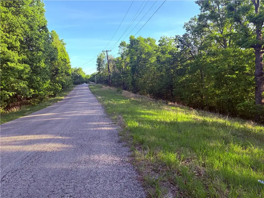 16 & 18 Summit Drive, Eureka Springs, AR 72631 - #3