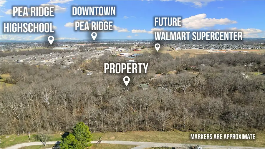 10368 Johnson Hollow Road, Pea Ridge, AR 72751 - #3