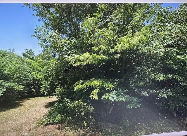 1608 W Sycamore Street, Blytheville, AR 72315 - #2