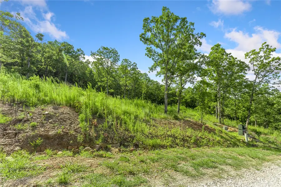 Lot 14 Peaceful Place, Harrison, AR 72601 - #2