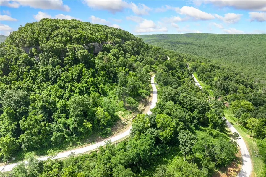 Lot 16 Peaceful Place, Harrison, AR 72601 - #3