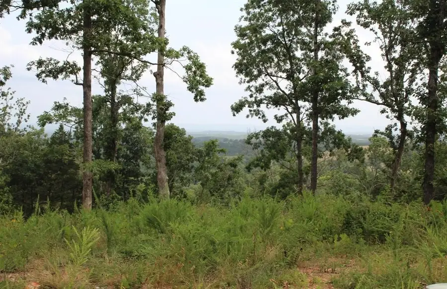 131 Mc 5039, Valley Springs, AR 72682 - #2