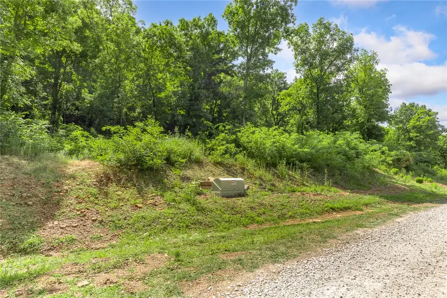117 Significance Summit, Harrison, AR 72601 - #2