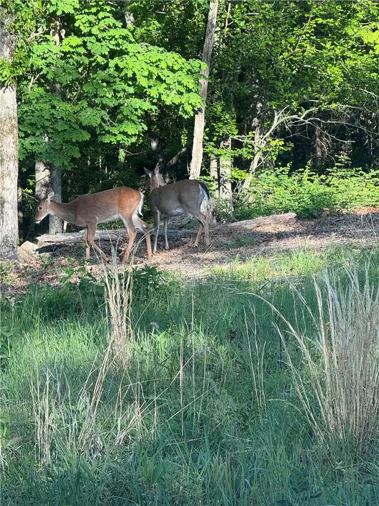 Arbroath Lane, Bella Vista, AR 72715 - #2