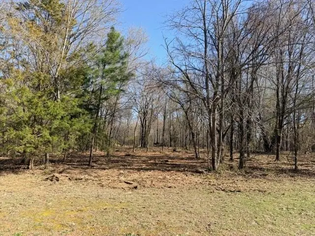 13668 Tally Gate Road, Springdale, AR 72762 - #2