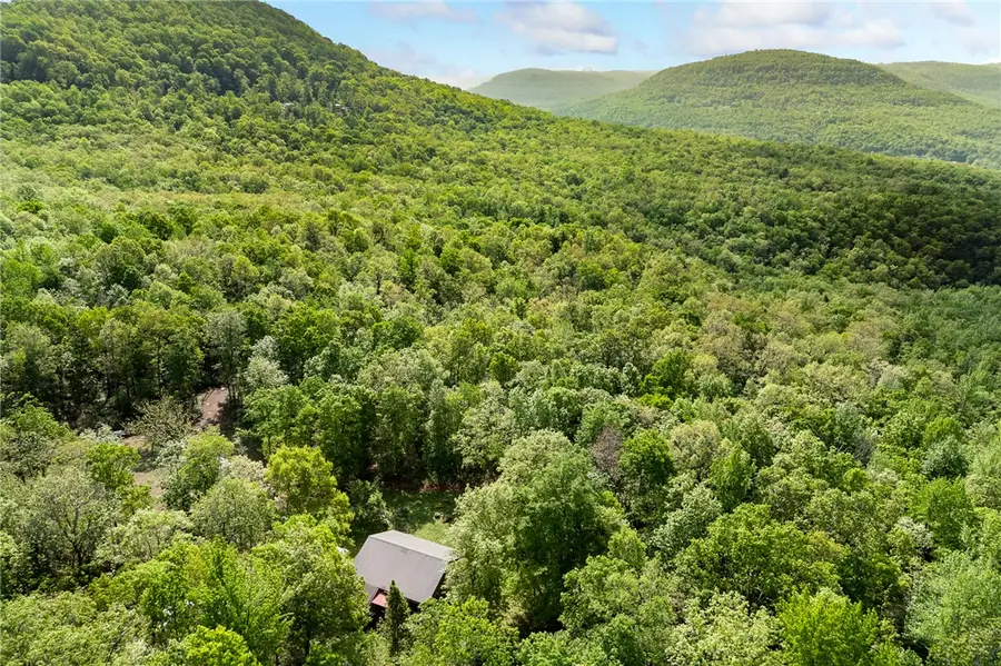 4459 Nc 8650, Jasper, AR 72641 - #2