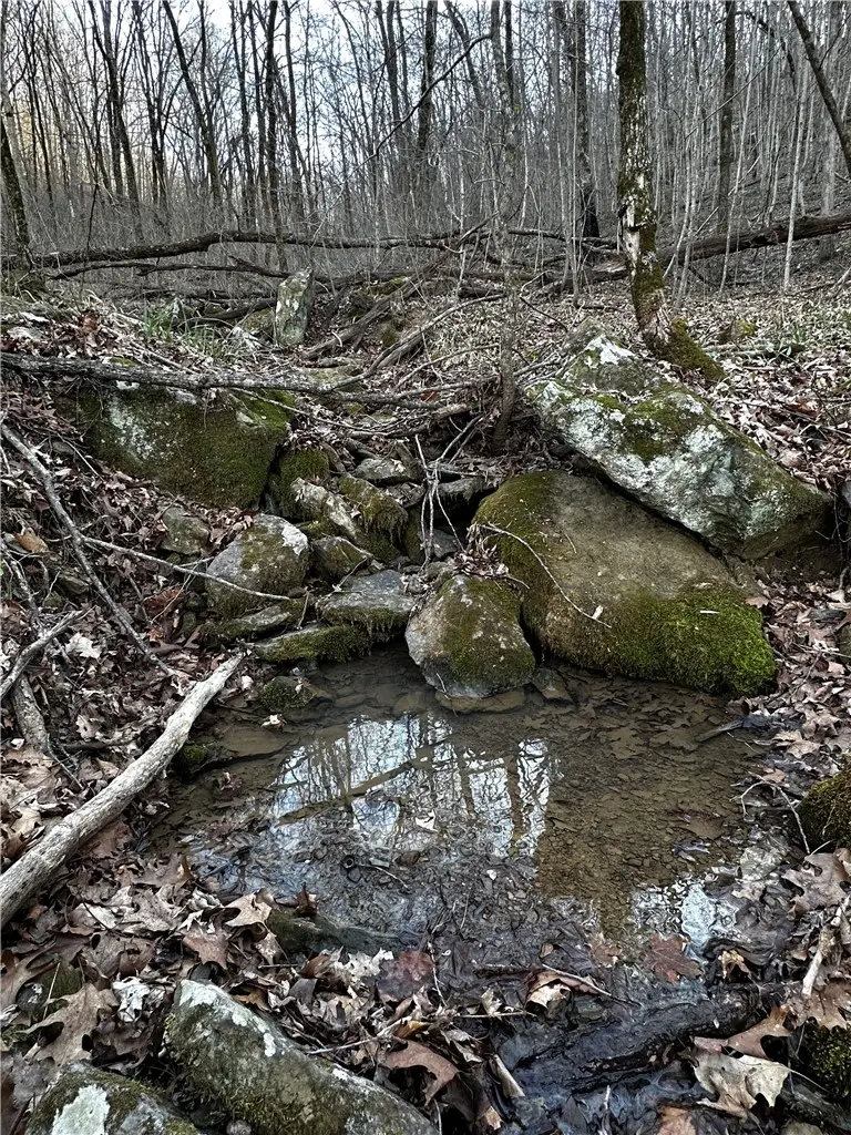 000 Madison 5153, Saint Paul, AR 72760 - #2