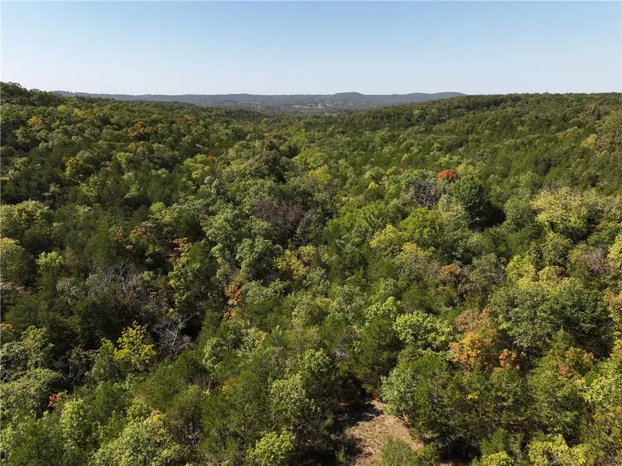 N/a Bear Bottom, Lead Hill, AR 72644 - #3