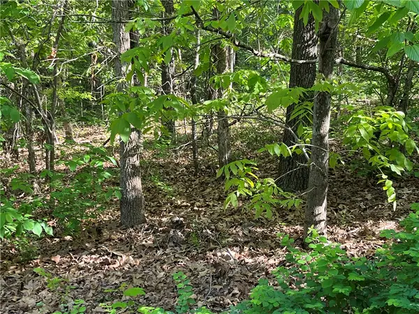 Lot 6 Block 8 Welland Lane, Bella Vista, AR 72715