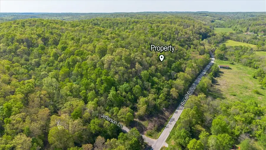 6110 Route E, Pineville, MO 64856 - #3