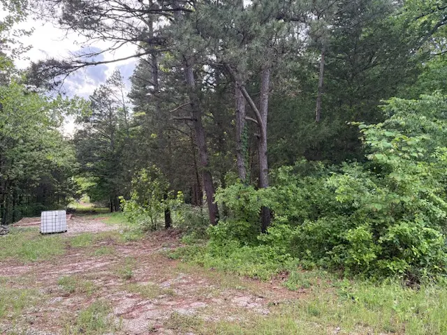23029 Old Hwy 65, Omaha, AR 72662 - #1