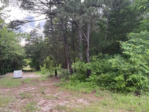 23029 Old Hwy 65, Omaha, AR 72662