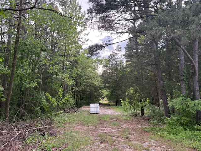 23029 Old Hwy 65, Omaha, AR 72662 - #2