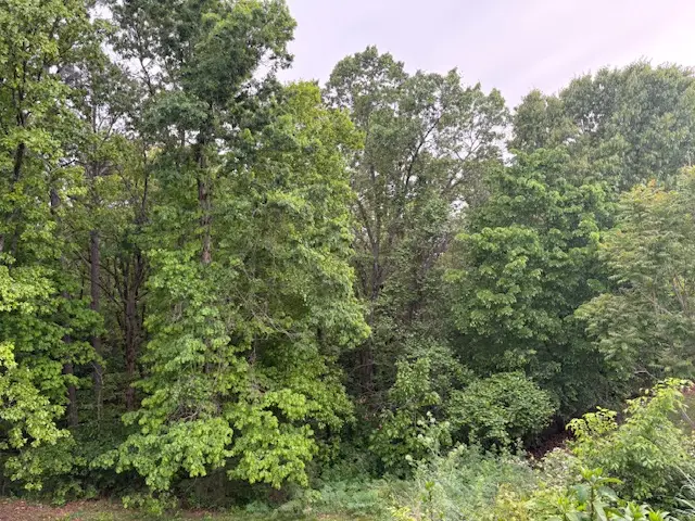 23029 Old Hwy 65, Omaha, AR 72662 - #3