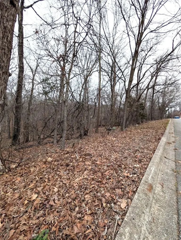 Lots 18 & 19 Morganshire, Bella Vista, AR 72714 - #3