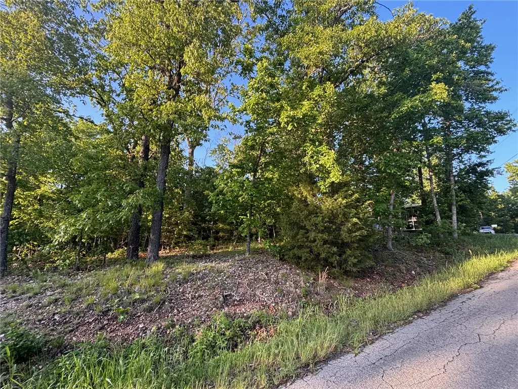 Enfield Drive, Bella Vista, AR 72715 - #1