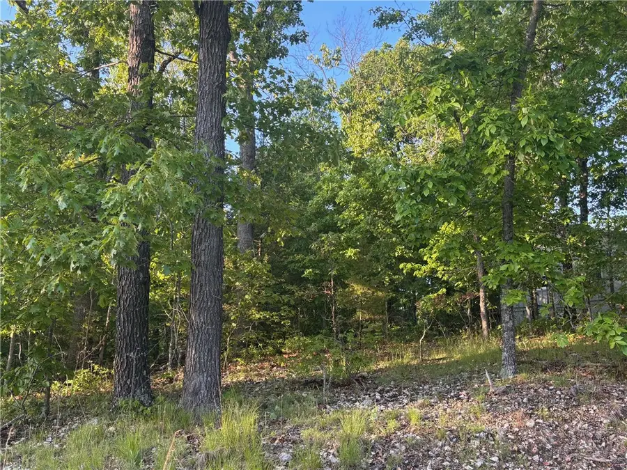 Enfield Drive, Bella Vista, AR 72715 - #2