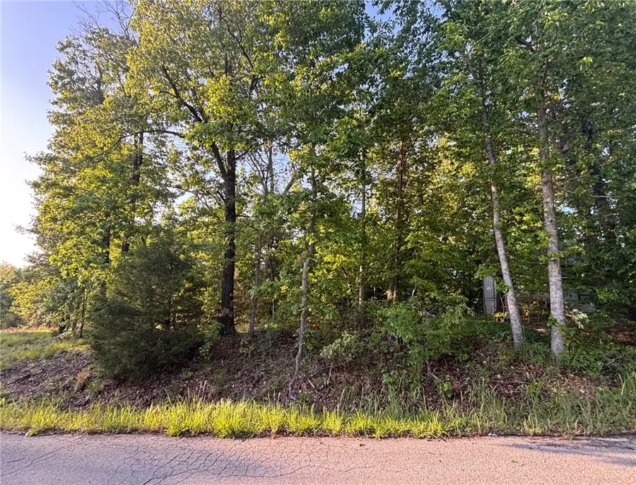 Enfield Drive, Bella Vista, AR 72715 - #3