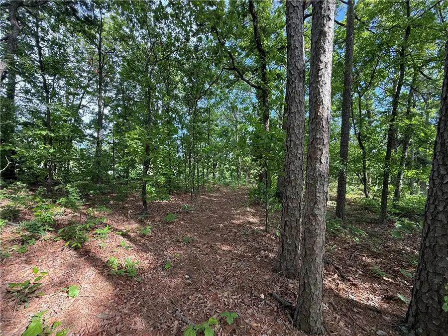 8 Soth Hills Loop, Holiday Island, AR 72631 - #3