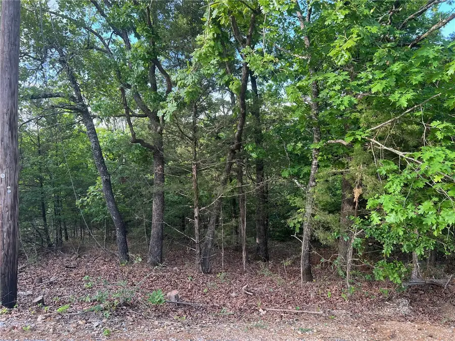 TBD Diamond Point Boulevard, Diamond City, AR 72630 - #2