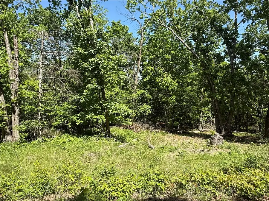 36 Venus Avenue, Holiday Island, AR 72631 - #2