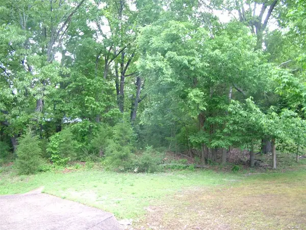 Lot 8 Franklin Avenue, Mountain Home, AR 72653