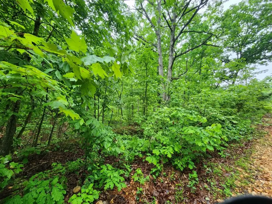 Lot 4 Rochester Drive, Bella Vista, AR 72714 - #3