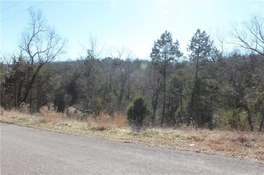 15 Deer Run Drive, Holiday Island, AR 72631 - #2