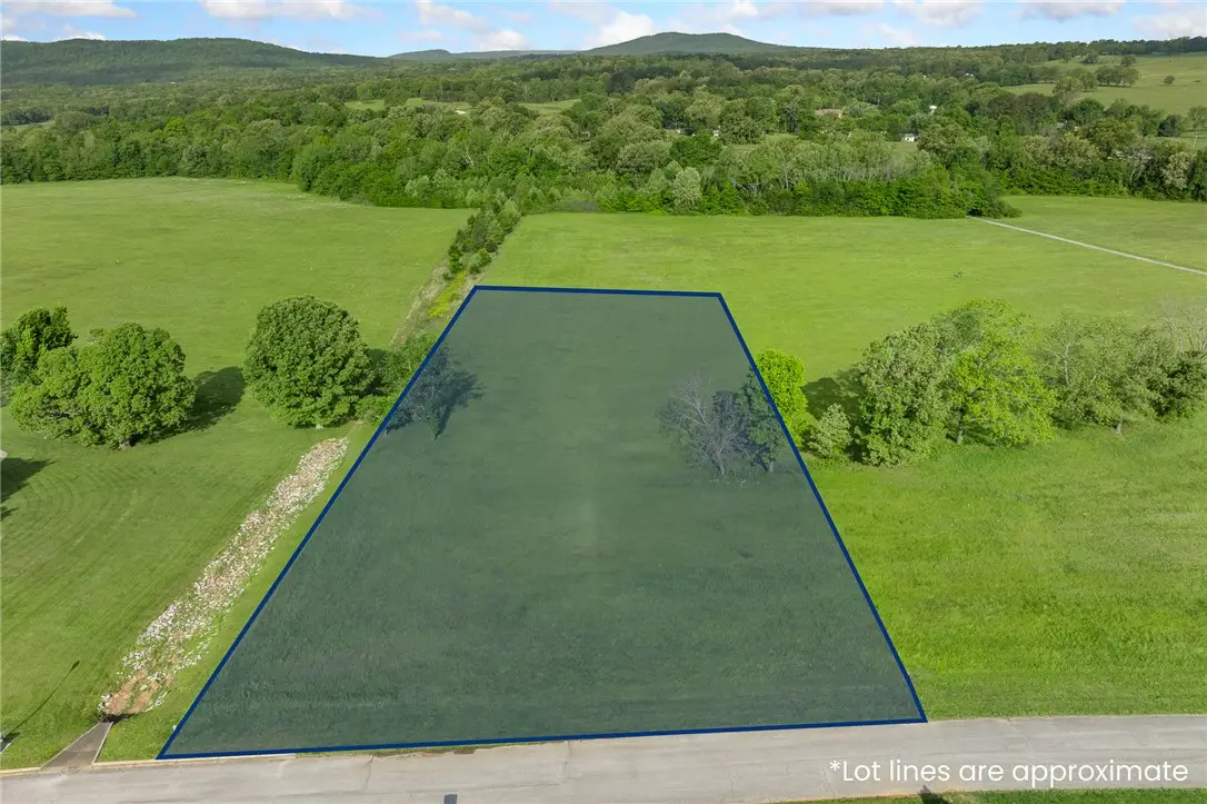 Lot 25 A & B Savannah Drive, Harrison, AR 72601 - #1