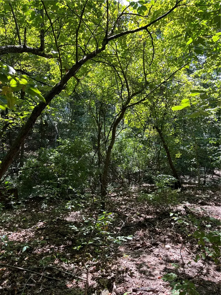 Lots 23,24,&25 Sycamore Tree Lane, Lakeview, AR 72642 - #2