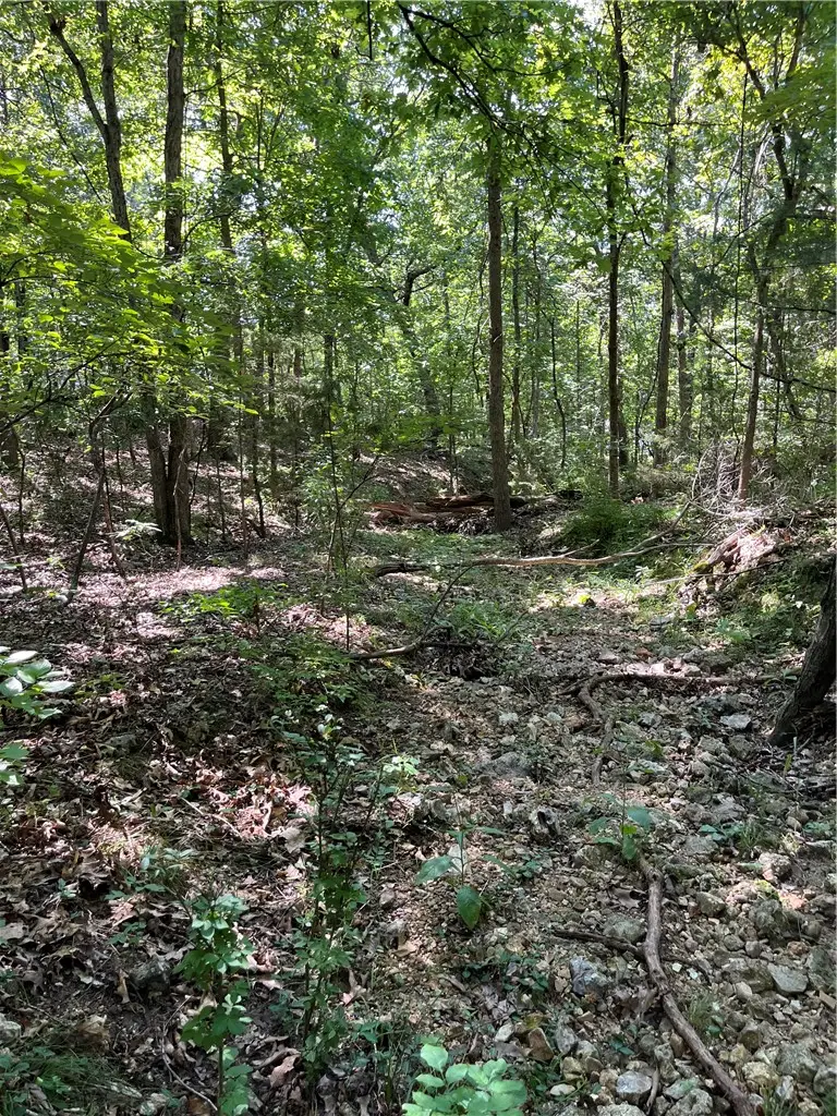 Lots 23,24,&25 Sycamore Tree Lane, Lakeview, AR 72642 - #3